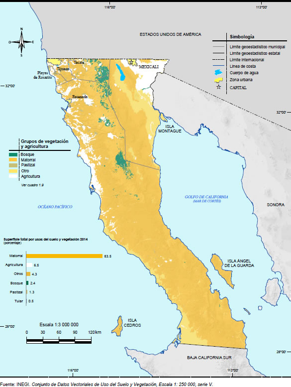 Mapa Vegetacion Baja California