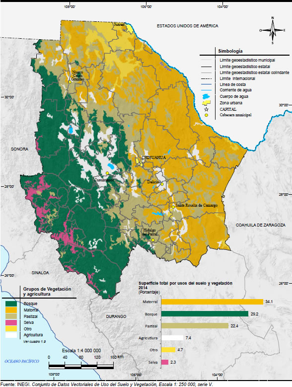 Mapa Vegetacion Chihuahua