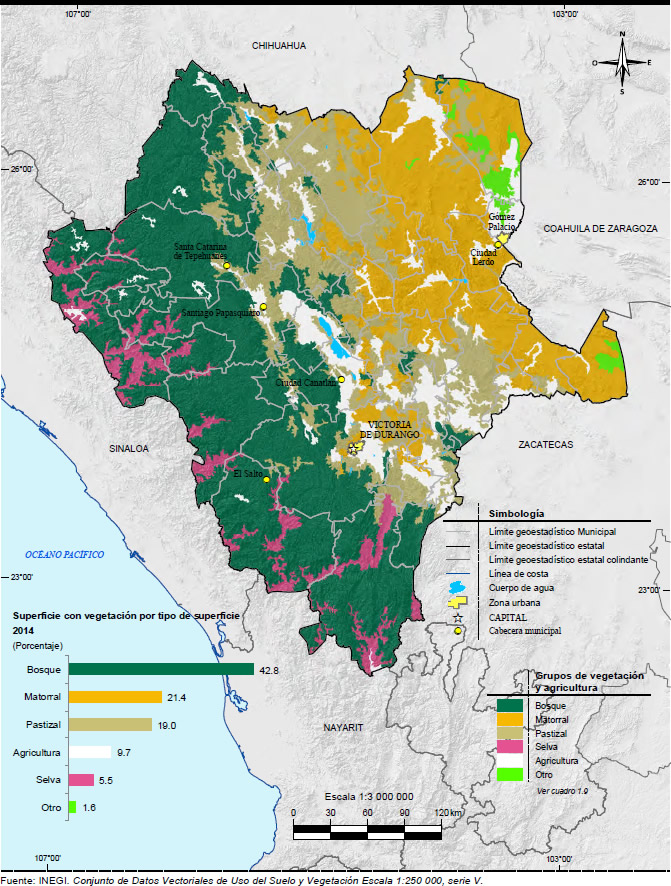 Mapa Vegetacion Durango