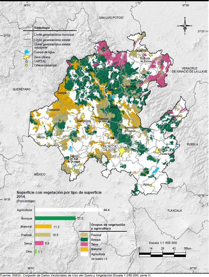 Mapa Vegetacion Hidalgo