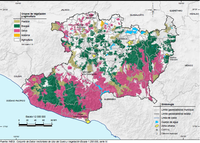 Mapa Vegetacion Michoacán de Ocampo