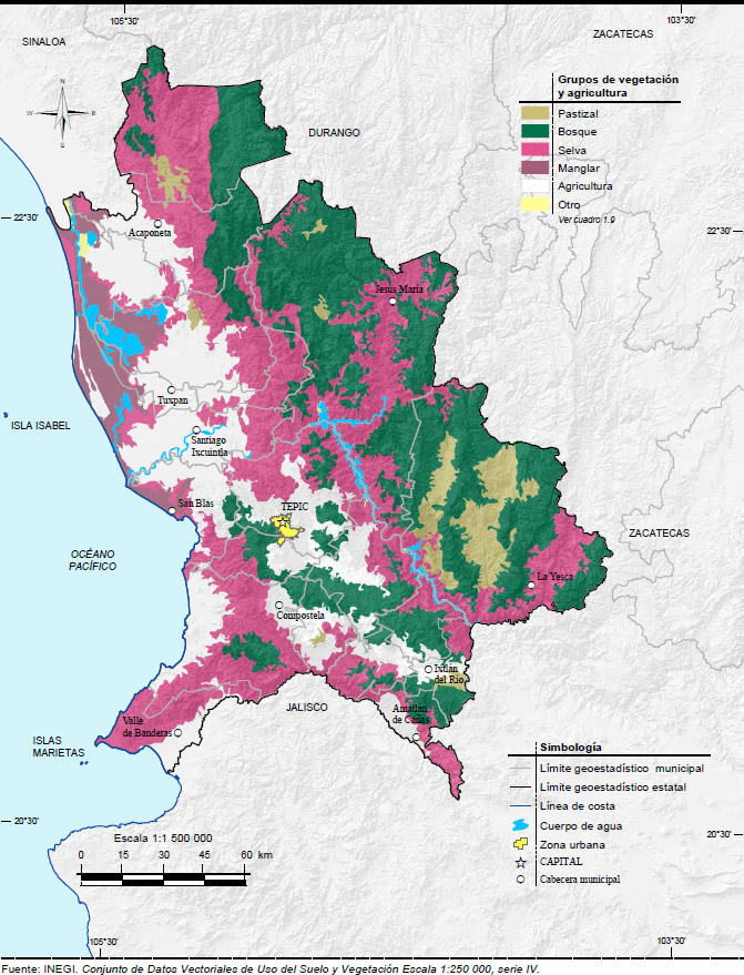 Mapa Vegetacion Nayarit