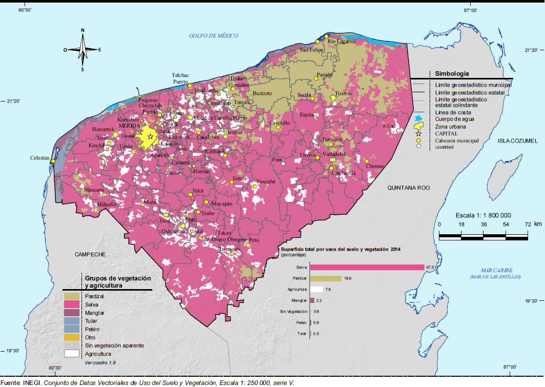Mapa Vegetacion Yucatán